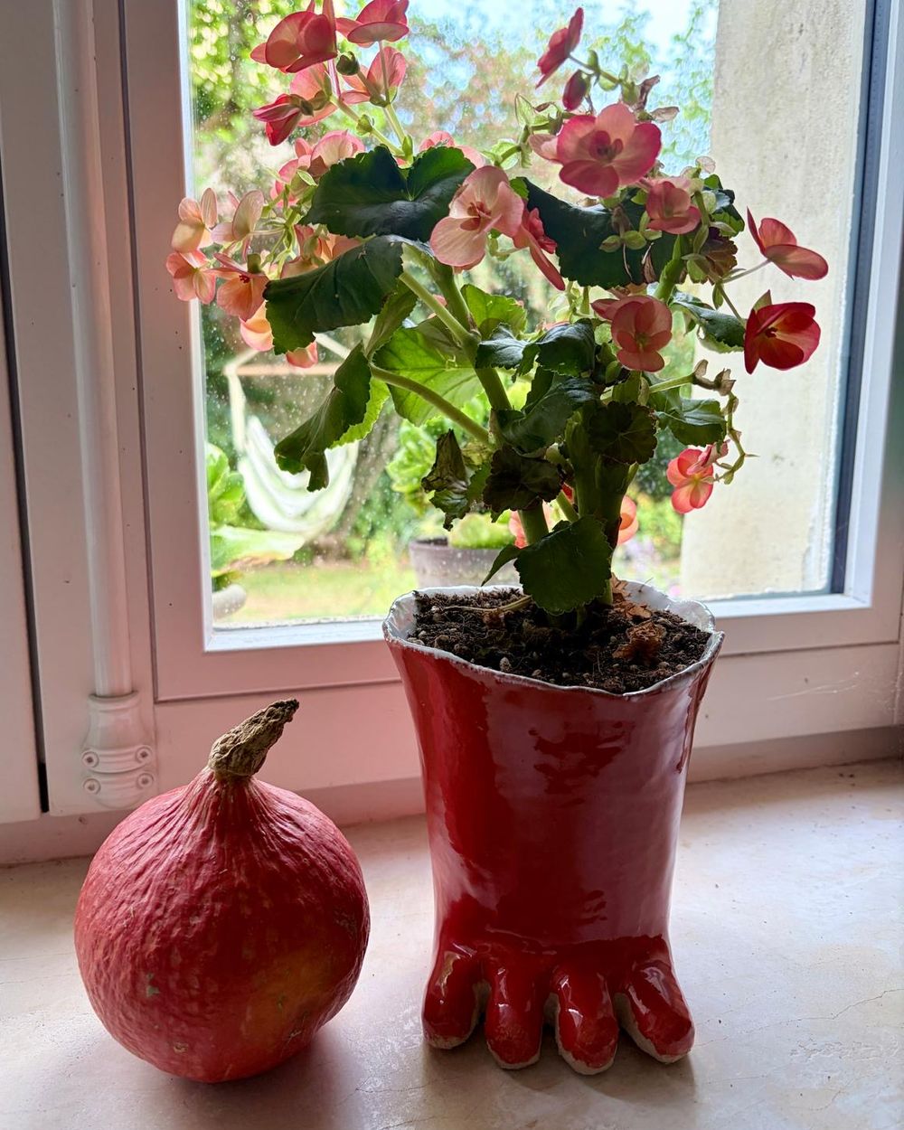 Pot en céramique émaillée rouge vif posé sur des pattes, avec un bégonia en fleurs